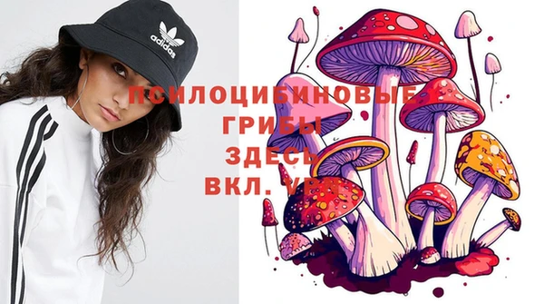 мет Балахна
