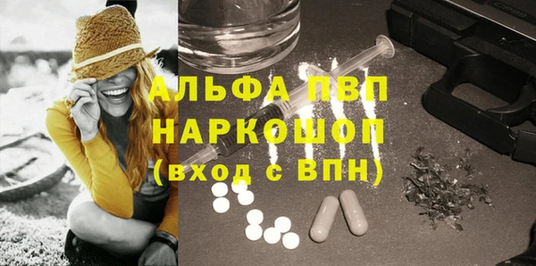индика Балабаново
